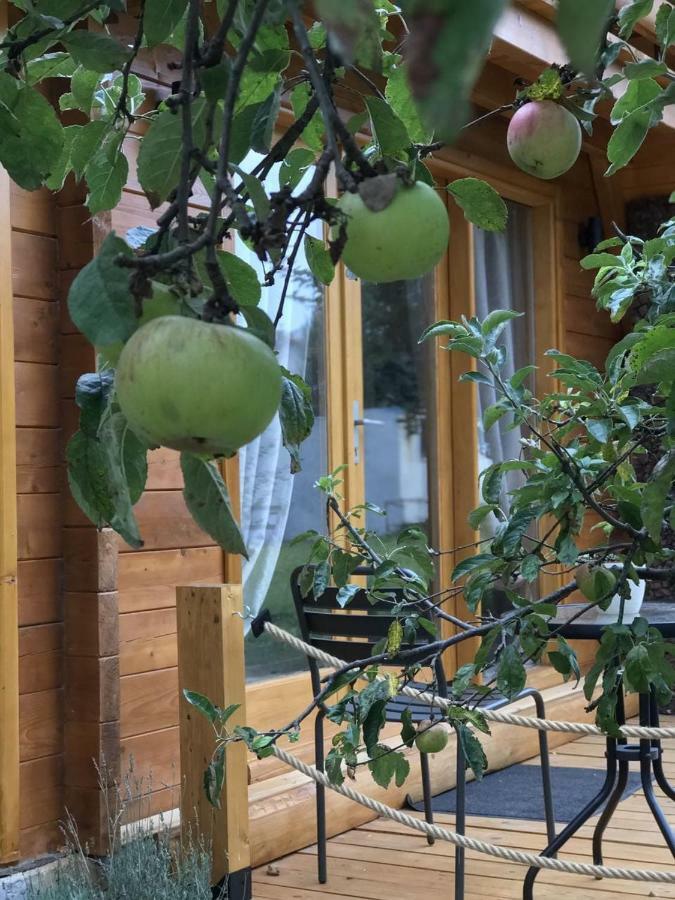 Apple House Vila Cetinje Exterior foto