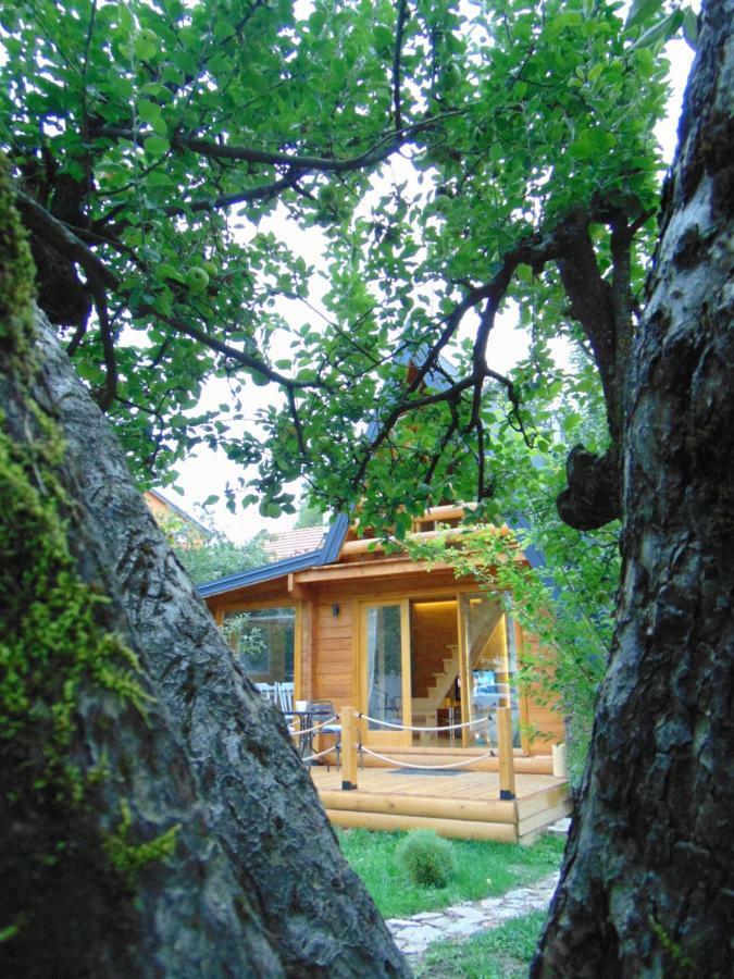 Apple House Vila Cetinje Exterior foto